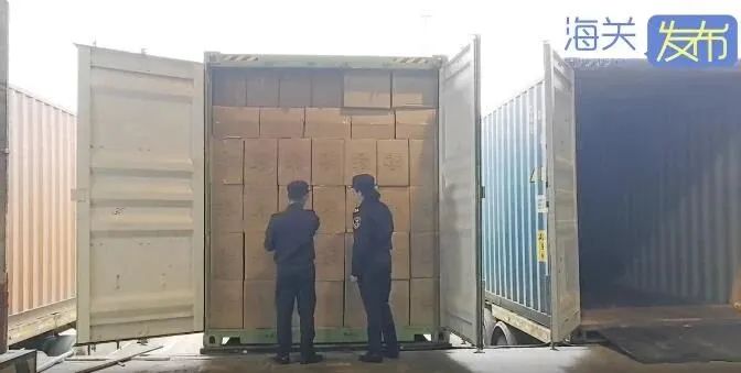 巨額罰款！20噸